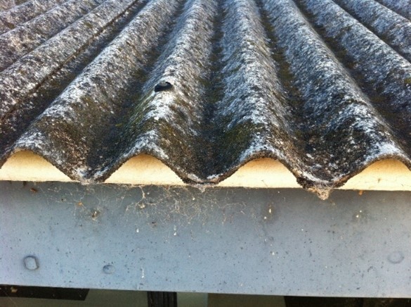 Asbestos Roof Removal 2