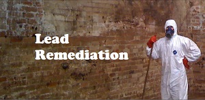Lead  Remediation Button